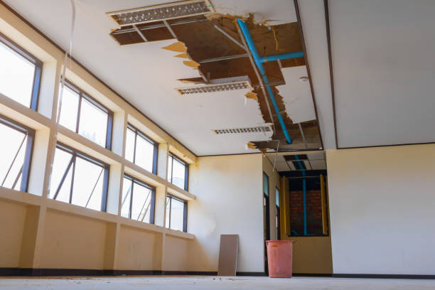 Best Local water damage restoration  in Wurtsboro, NY