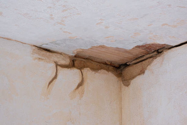 Best Flood damage cleanup  in Wurtsboro, NY